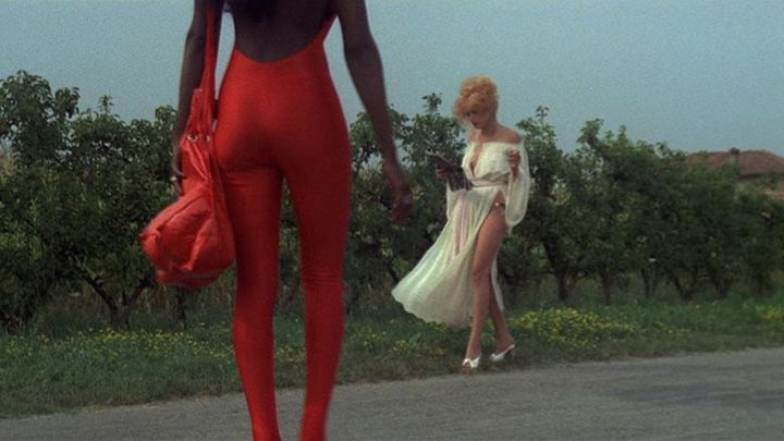 Una scena tratta dal film La mazurka del barone, della santa e del fico fiorone