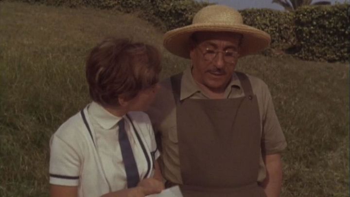 Una scena tratta dal film Rita la zanzara