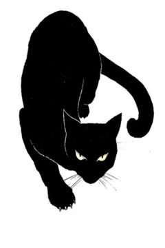 Locandina Black Cat: Gatto nero