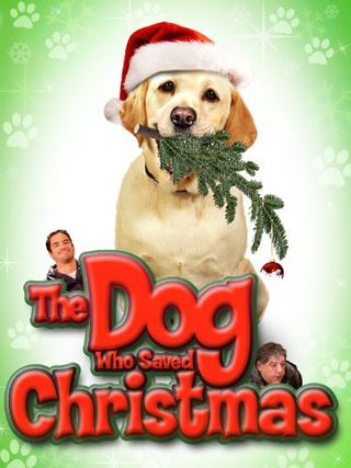Mamma che Natale da cani!