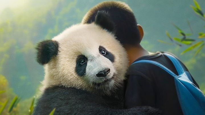 Una scena tratta dal film Moon il panda