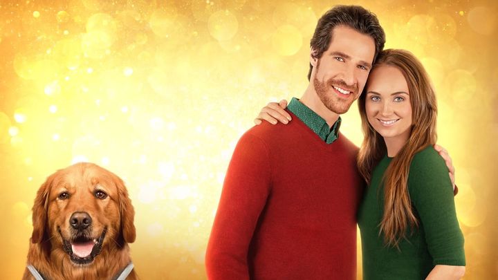Una scena tratta dal film Una guida per Natale