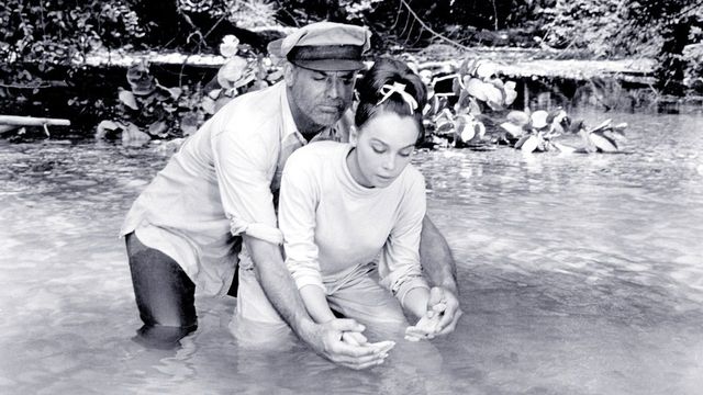 Una scena tratta dal film Il gran lupo chiama