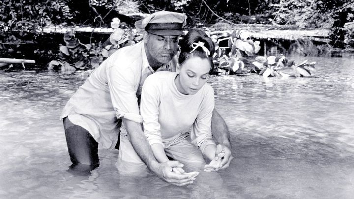 Una scena tratta dal film Il gran lupo chiama