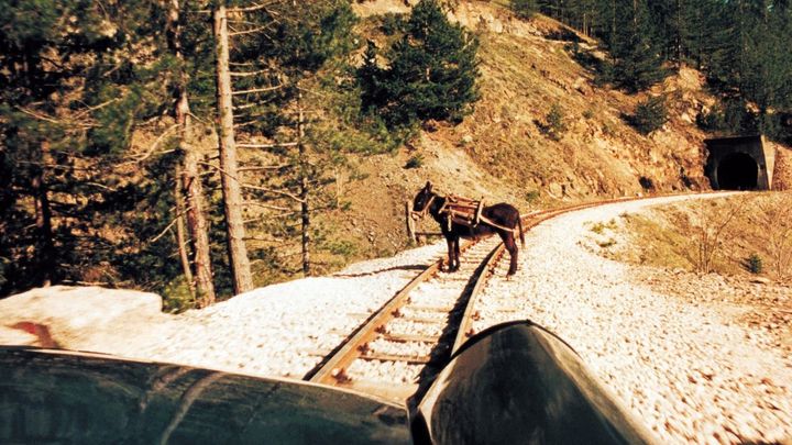 Una scena tratta dal film La vita è un miracolo