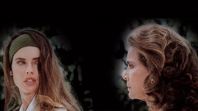 Cine34