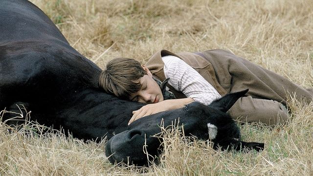 Una scena tratta dal film Black Beauty
