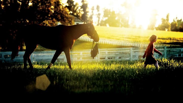 Una scena tratta dal film Dreamer - La strada per la vittoria