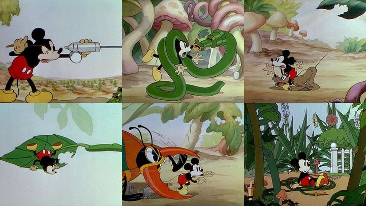 Una scena tratta dal film Topolino giardiniere