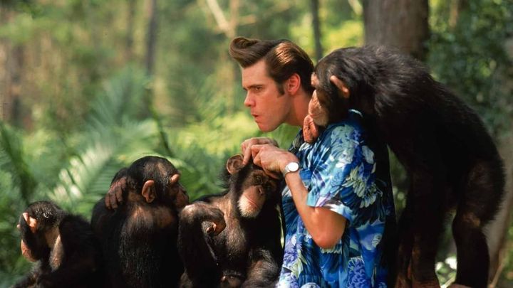 Una scena tratta dal film Ace Ventura - Missione Africa