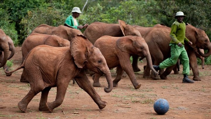 Una scena tratta dal film Born to Be Wild