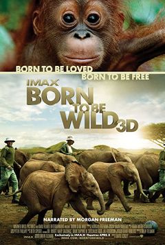 Locandina Born to Be Wild