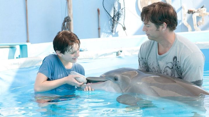 Una scena tratta dal film L'incredibile storia di Winter il delfino