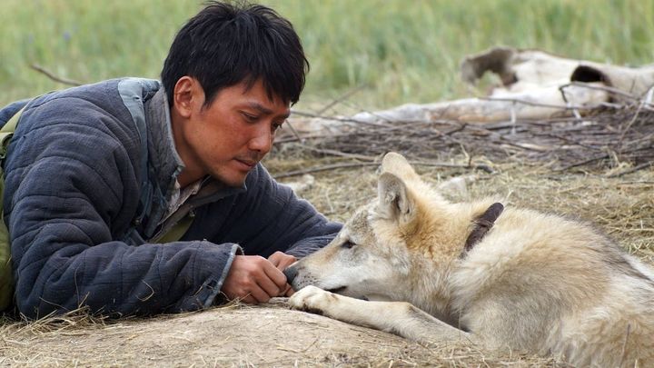 Una scena tratta dal film L'ultimo lupo