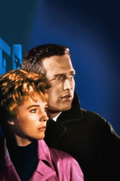 Locandina Il sipario strappato