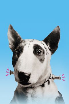 Locandina Frankenweenie
