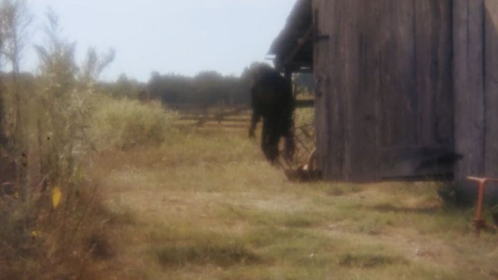 Una scena tratta dal film Boggy Creek II: And the Legend Continues