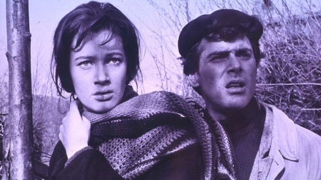 Una scena tratta dal film Un giorno da leoni