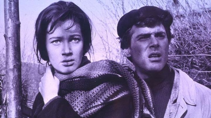 Una scena tratta dal film Un giorno da leoni