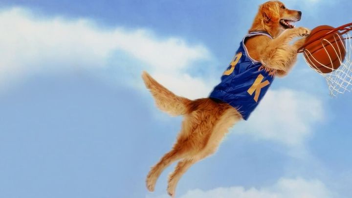 Una scena tratta dal film Air Bud - Campione a quattro zampe