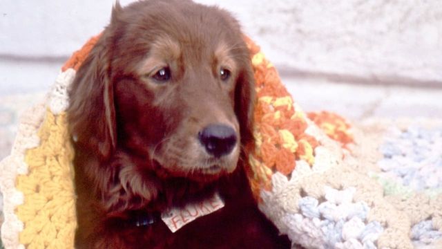 Una scena tratta dal film Fluke