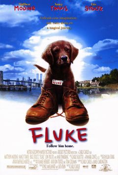 Locandina Fluke