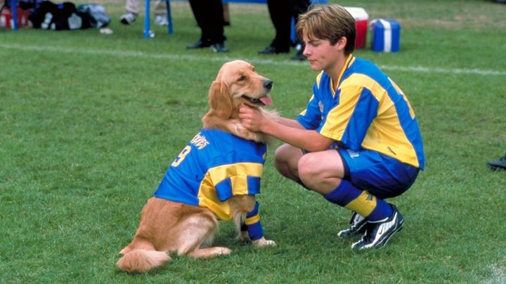 Una scena tratta dal film Air Bud 3