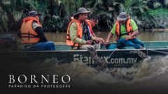 Borneo: paradiso da proteggere