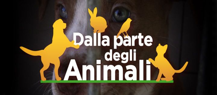 Dalla parte degli animali