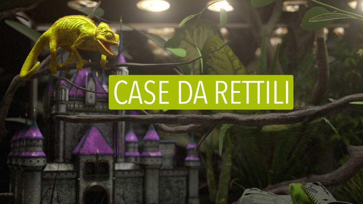 Case da rettili