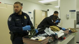 Border Security: niente da dichiarare