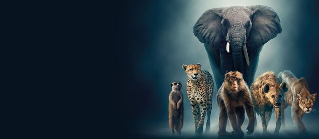 Dynasties - L'avventura della vita