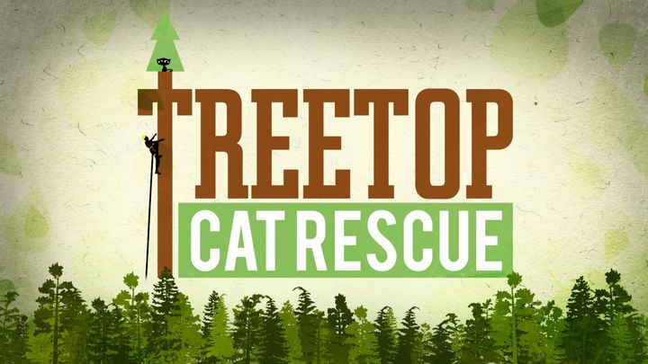 Il mio gatto è in cima all'albero!