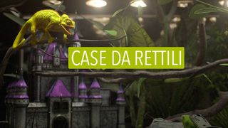 Case da rettili