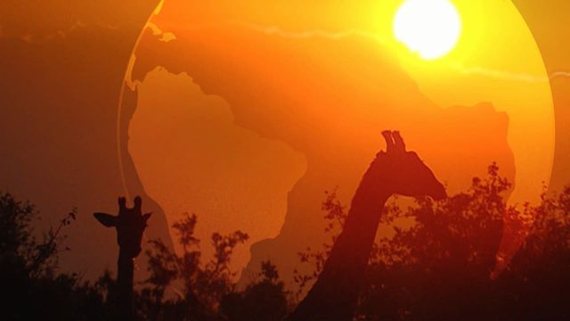 Incontri ravvicinati nel meraviglioso mondo degli animali