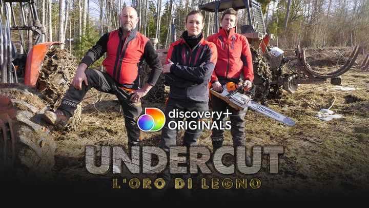 Undercut: l'oro di legno