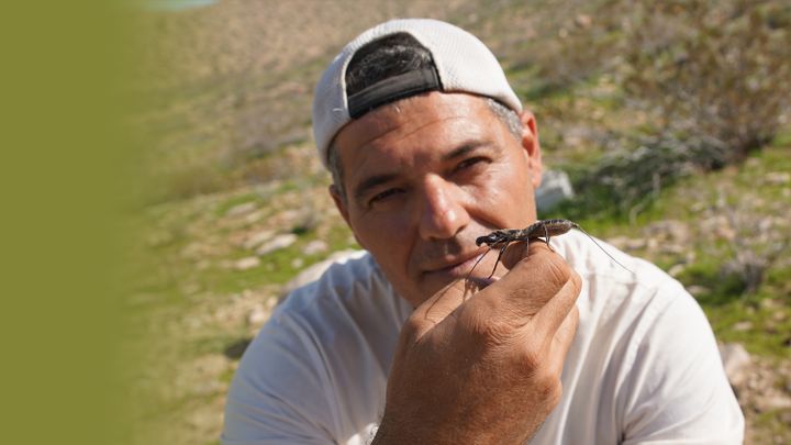 Wild Frank in California