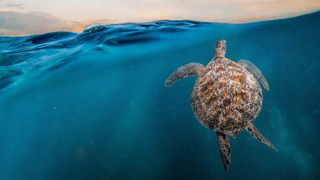 Oman: Meraviglie naturali d'Arabia