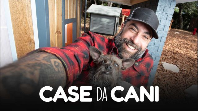 Case da cani