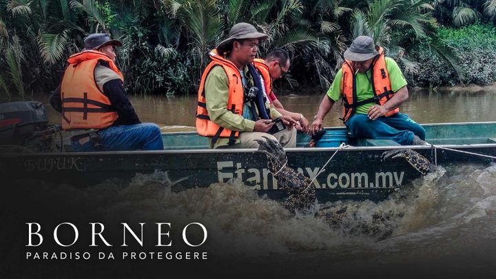 Borneo: paradiso da proteggere