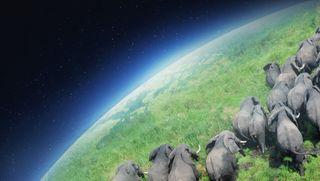 Pianeta Terra