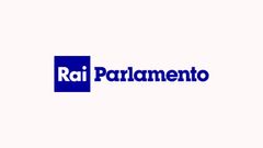 Rai Parlamento