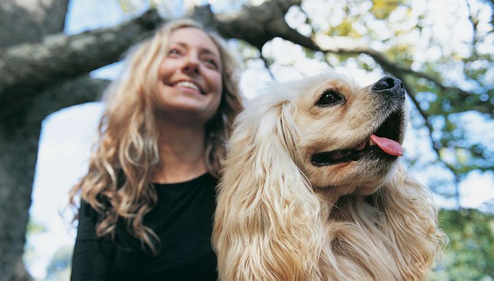 Parrucchieri per cani