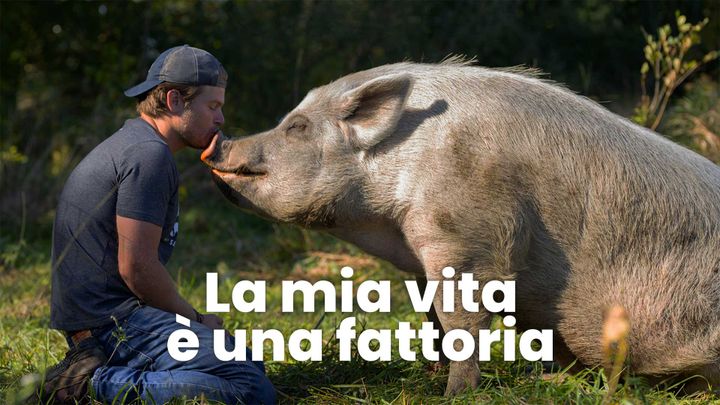 La mia vita è una fattoria