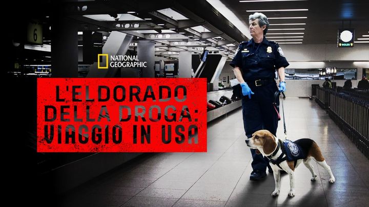 L'Eldorado della droga: viaggio in USA