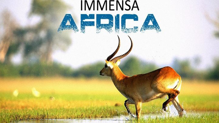 Serie Tv - Immensa Africa