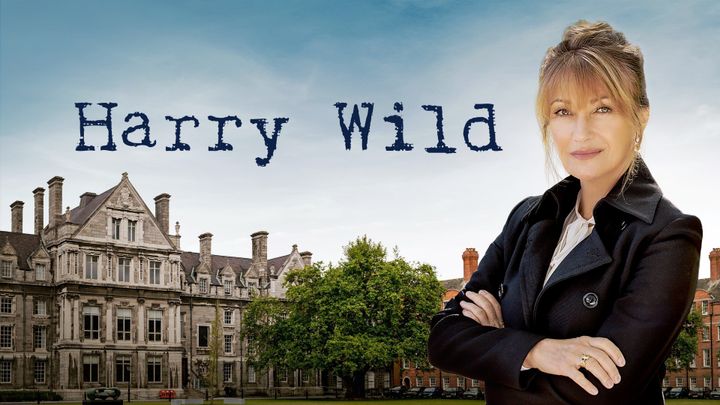 Serie Tv - Harry Wild - La signora del delitto