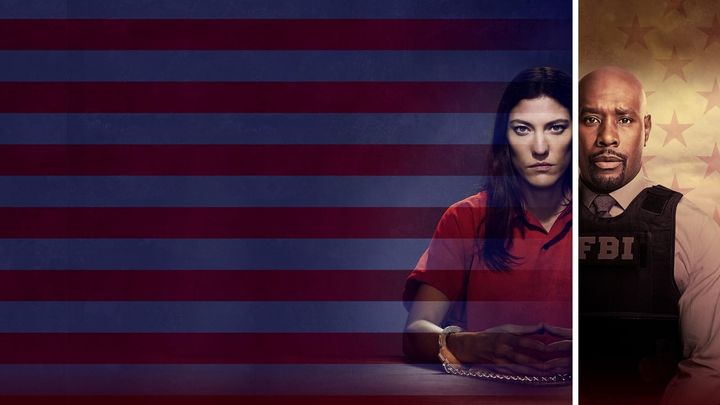 Serie Tv - Caccia Alla Spia