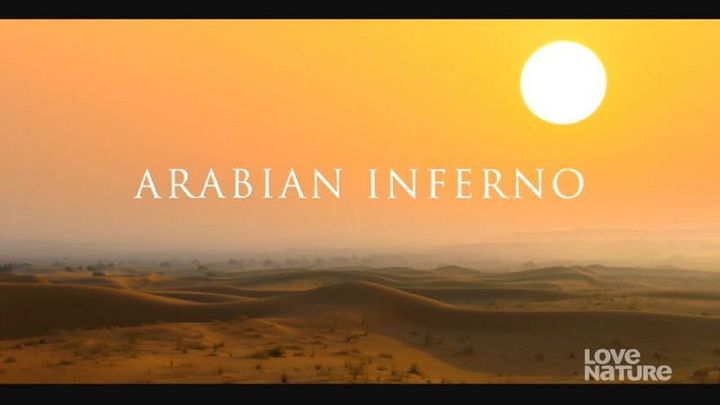 Serie Tv - Arabian Inferno