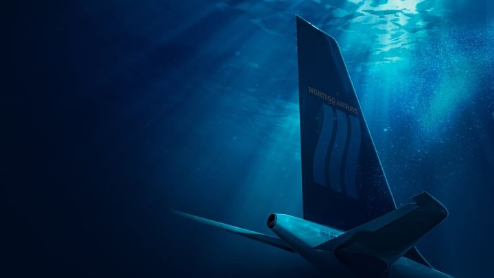 Risultati immagini per manifest serie banner